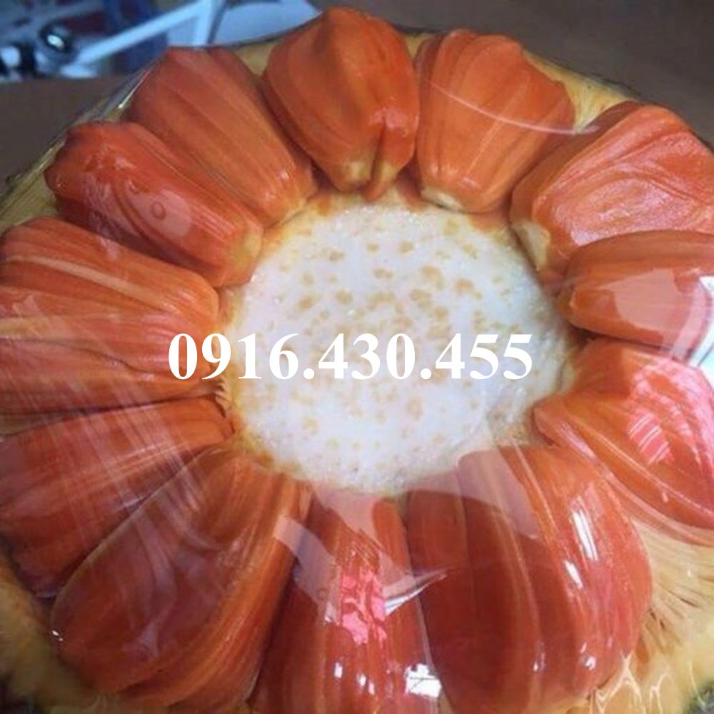 Cây giống mít ruột đỏ